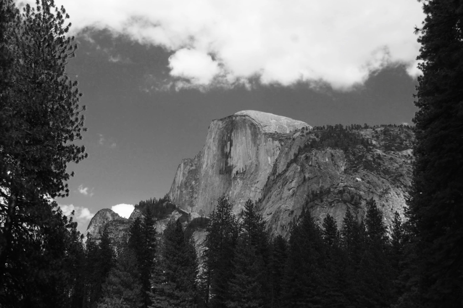 half dome picture